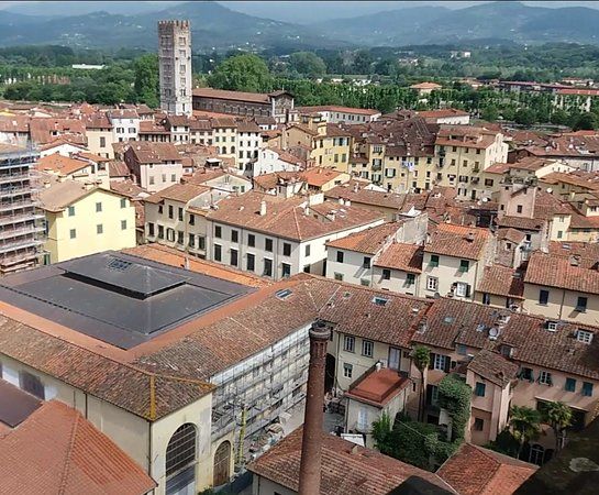 Torre Guinigi