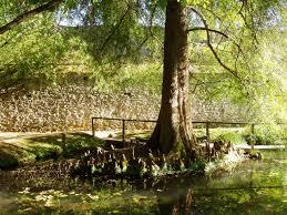 Luccas botaniska trädgård